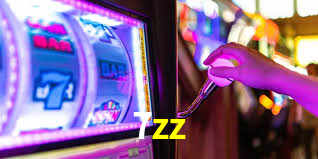 7zz,7zz bet